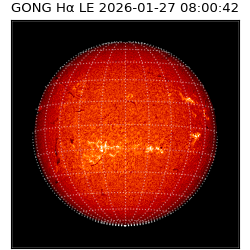 gong - 2026-01-27T08:00:42