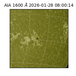 saia - 2026-01-28T08:00:14.125000