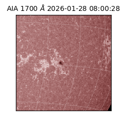 saia - 2026-01-28T08:00:28.718000