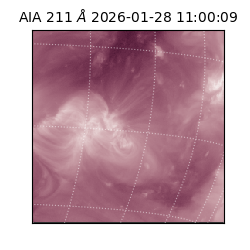 saia - 2026-01-28T11:00:09.633000