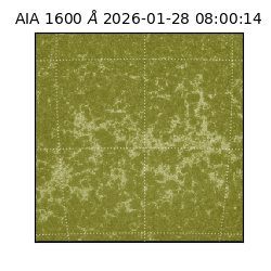saia - 2026-01-28T08:00:14.125000