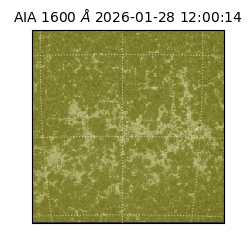 saia - 2026-01-28T12:00:14.125000