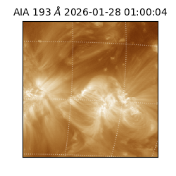 saia - 2026-01-28T01:00:04.846000