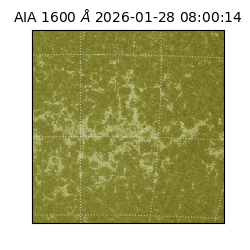 saia - 2026-01-28T08:00:14.125000