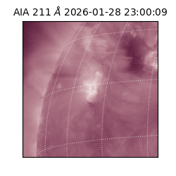 saia - 2026-01-28T23:00:09.631000