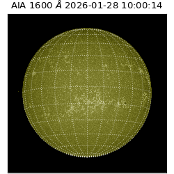 saia - 2026-01-28T10:00:14.122000