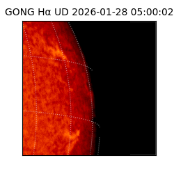 gong - 2026-01-28T05:00:02