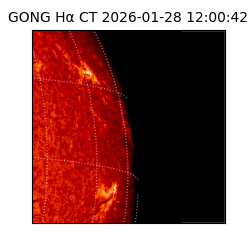 gong - 2026-01-28T12:00:42