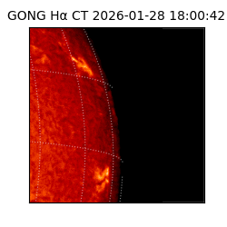 gong - 2026-01-28T18:00:42