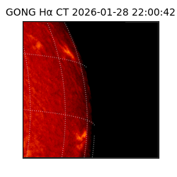 gong - 2026-01-28T22:00:42