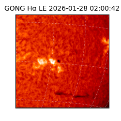 gong - 2026-01-28T02:00:42