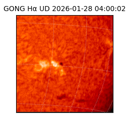 gong - 2026-01-28T04:00:02