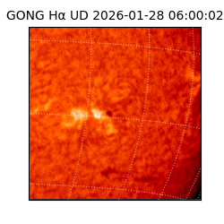 gong - 2026-01-28T06:00:02
