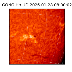 gong - 2026-01-28T08:00:02