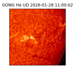 gong - 2026-01-28T11:00:02