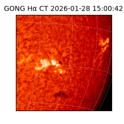 gong - 2026-01-28T15:00:42