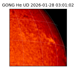 gong - 2026-01-28T03:01:02