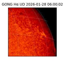 gong - 2026-01-28T06:00:02