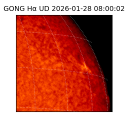 gong - 2026-01-28T08:00:02