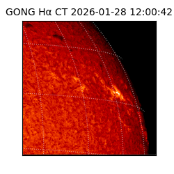 gong - 2026-01-28T12:00:42