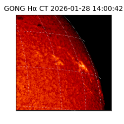gong - 2026-01-28T14:00:42
