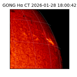 gong - 2026-01-28T18:00:42