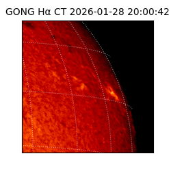 gong - 2026-01-28T20:00:42
