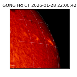 gong - 2026-01-28T22:00:42