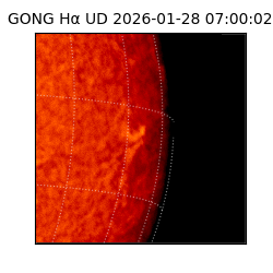 gong - 2026-01-28T07:00:02