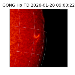 gong - 2026-01-28T09:00:22