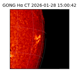 gong - 2026-01-28T15:00:42