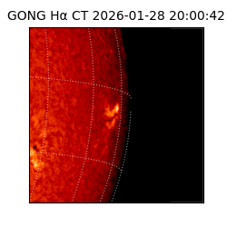 gong - 2026-01-28T20:00:42