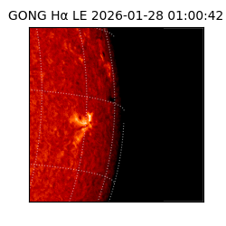 gong - 2026-01-28T01:00:42
