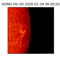 gong - 2026-01-28T06:00:02