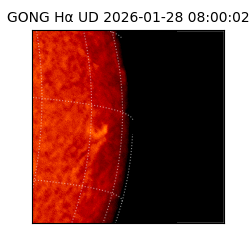 gong - 2026-01-28T08:00:02