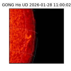gong - 2026-01-28T11:00:02
