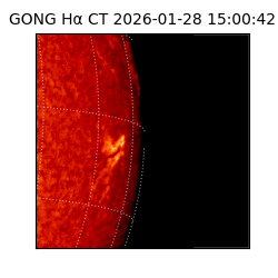 gong - 2026-01-28T15:00:42