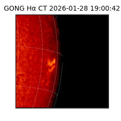 gong - 2026-01-28T19:00:42