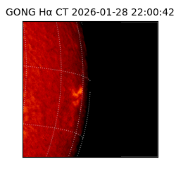 gong - 2026-01-28T22:00:42