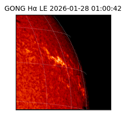 gong - 2026-01-28T01:00:42