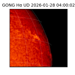 gong - 2026-01-28T04:00:02