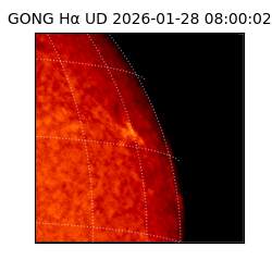 gong - 2026-01-28T08:00:02