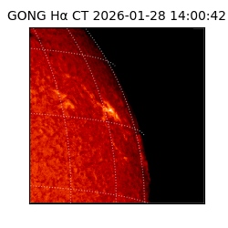 gong - 2026-01-28T14:00:42