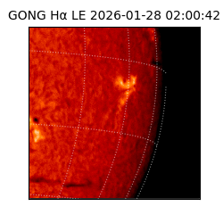 gong - 2026-01-28T02:00:42