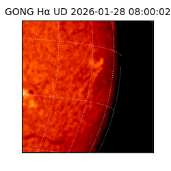 gong - 2026-01-28T08:00:02