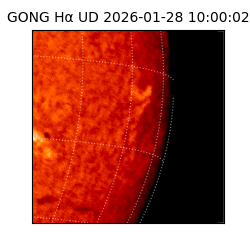 gong - 2026-01-28T10:00:02