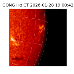 gong - 2026-01-28T19:00:42