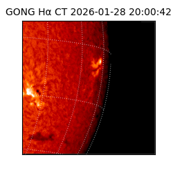 gong - 2026-01-28T20:00:42