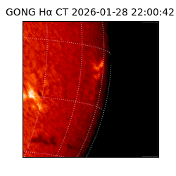 gong - 2026-01-28T22:00:42