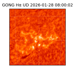gong - 2026-01-28T08:00:02